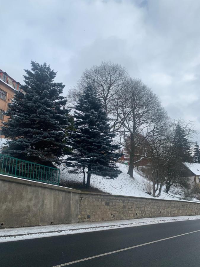 Apartman V Krusnych Horach-Free Parking Jáchymov Exterior photo