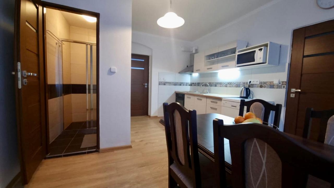 Apartman V Krusnych Horach-Free Parking Jáchymov Exterior photo