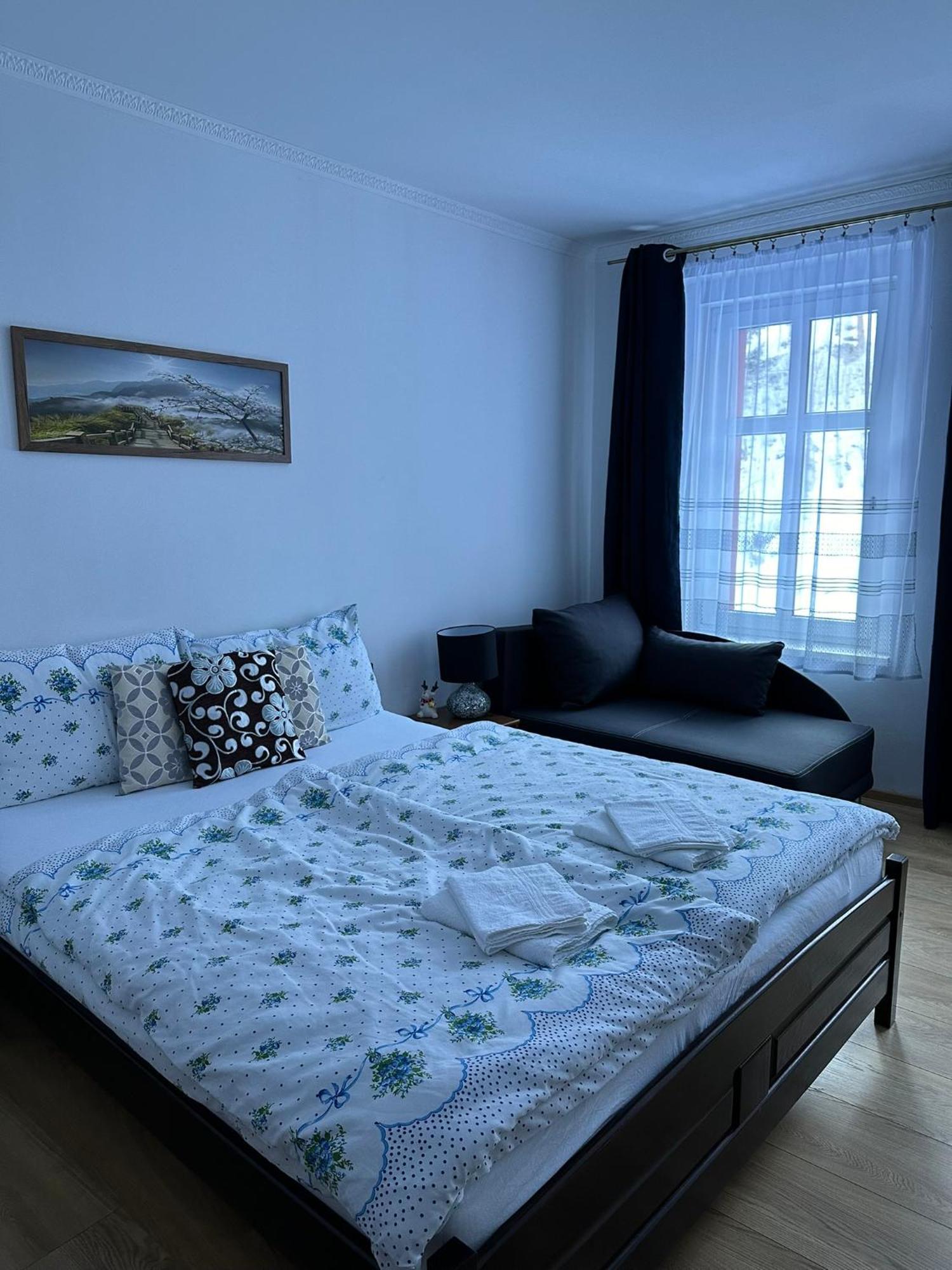 Apartman V Krusnych Horach-Free Parking Jáchymov Exterior photo