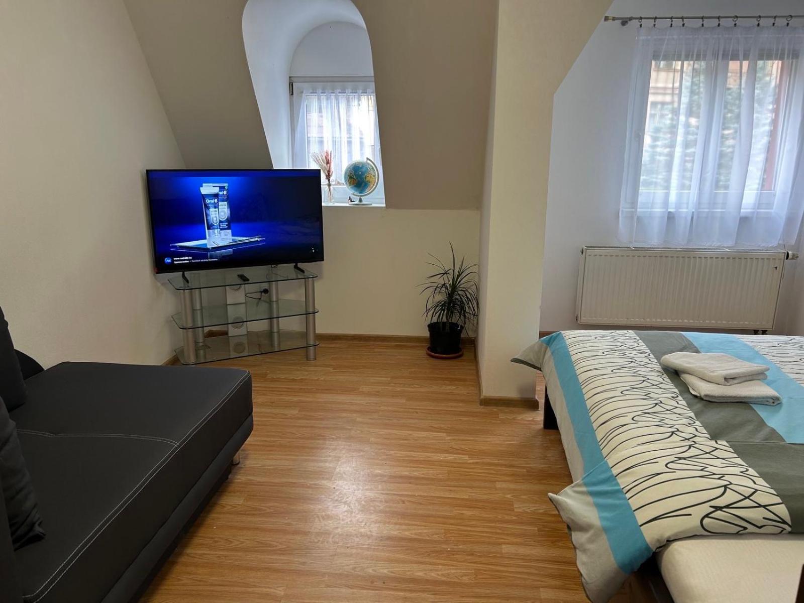 Apartman V Krusnych Horach-Free Parking Jáchymov Exterior photo